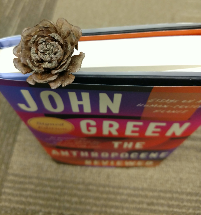 The Anthropocene Reviewed by John Green with a wooden rose sprouting from its pages