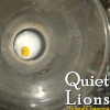 quiet lions album cover