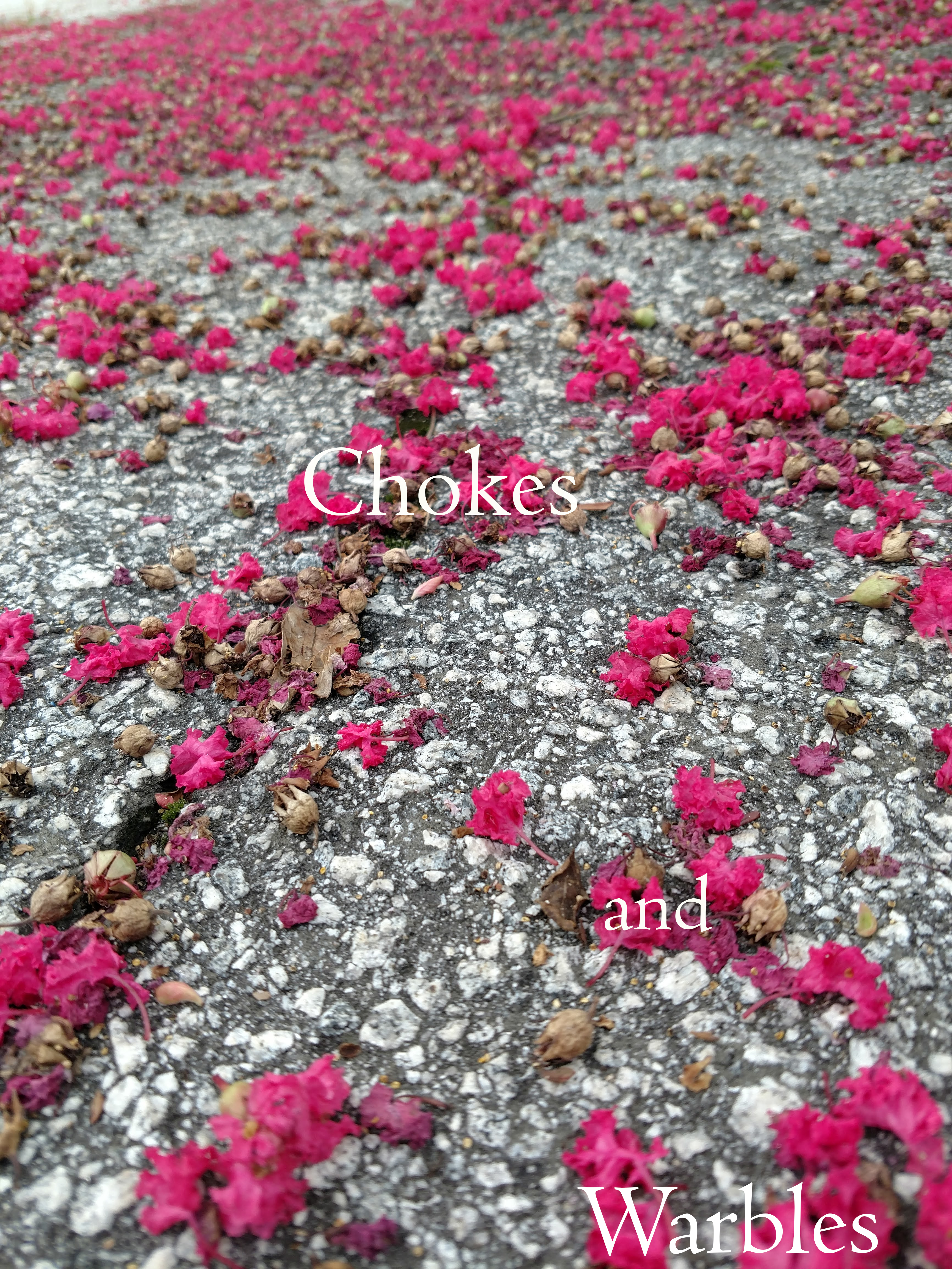 Chokes and Warbles, a poem by Michael Channing