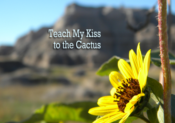 Teach My Kiss to the Cactus by Michael Channing