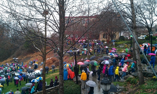 Women's March in the Rain
